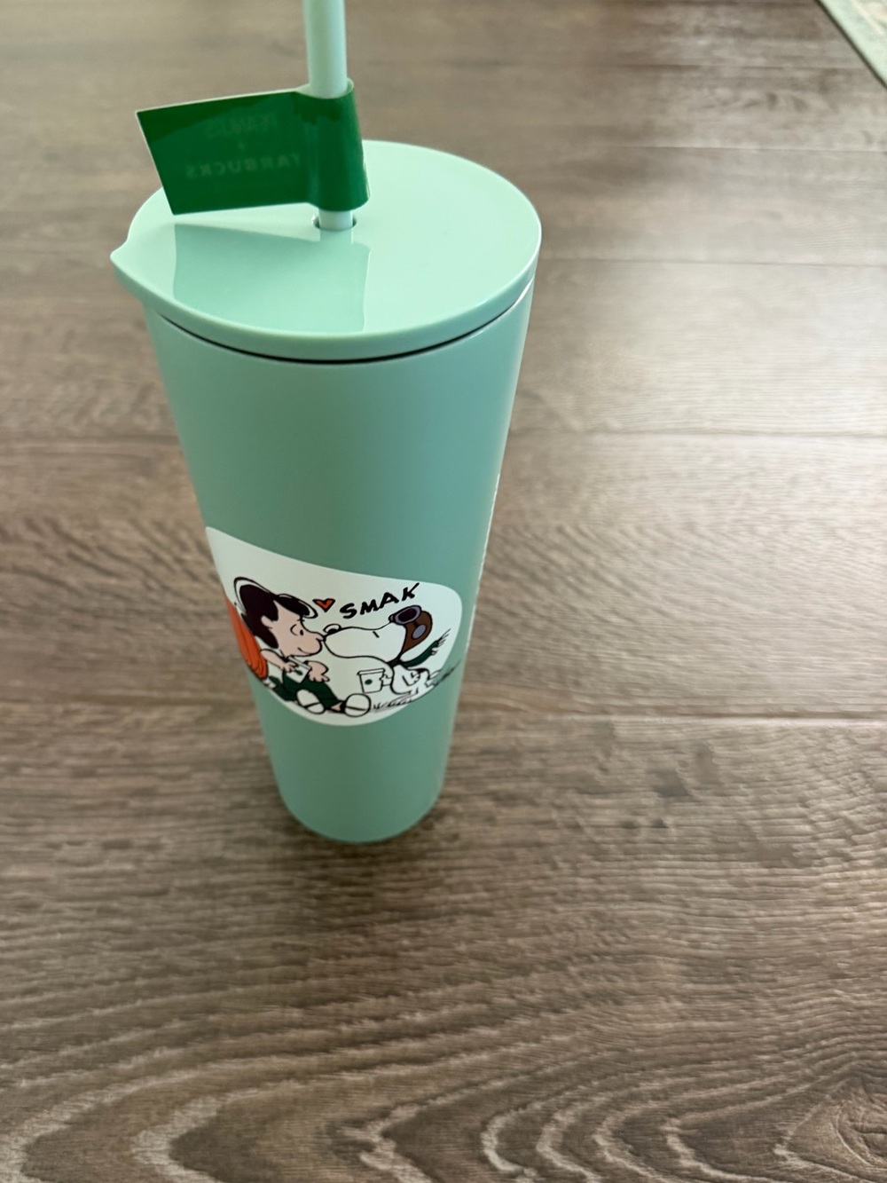 NEW Starbucks Peanuts Snoopy Lucy Stainless Steel Cold Cup Tumbler 24oz Green